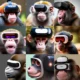 monkey place vr